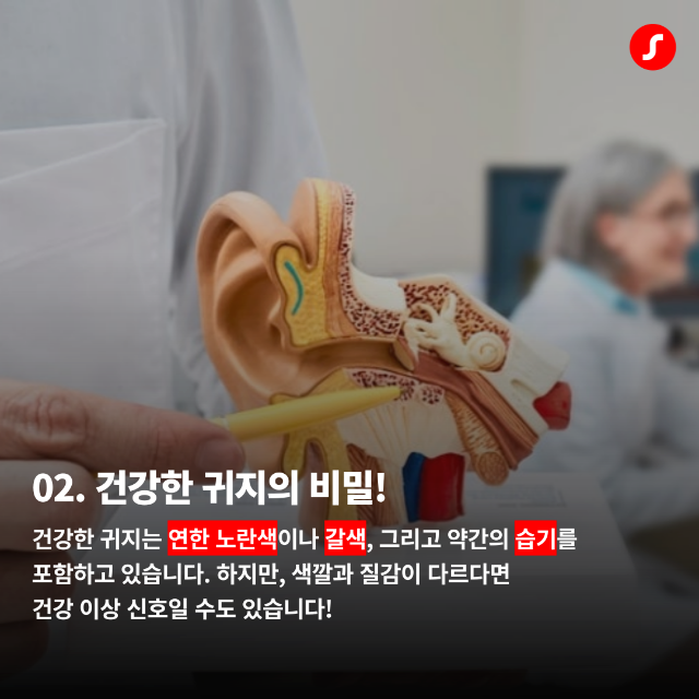 3월2주차 기장군보청기3.png