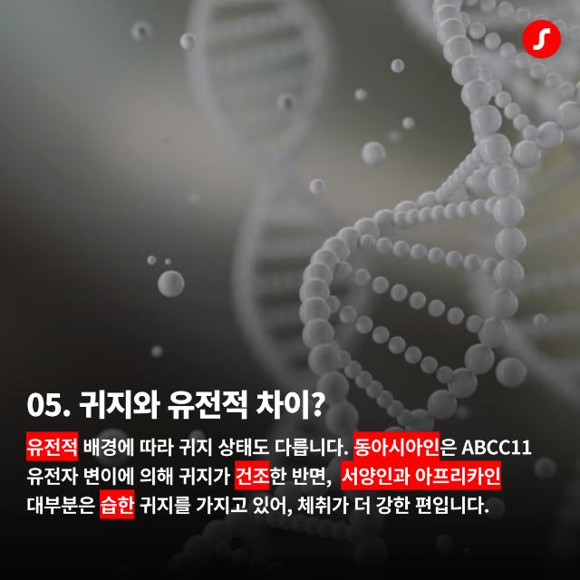 3월2주차 기장군보청기6.png