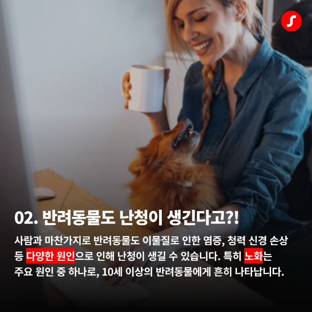 일광보청기 반려동물 청력 3.png