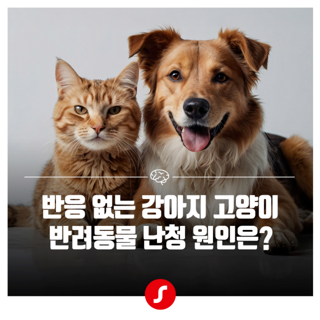일광보청기 반려동물 청력 1.png