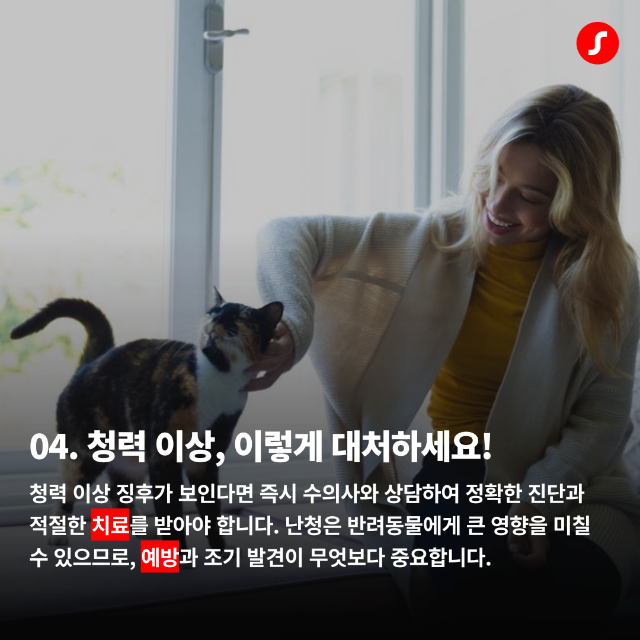 일광보청기 반려동물 청력 5.png