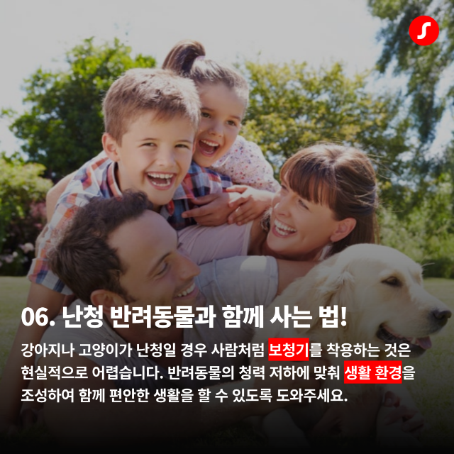 일광보청기 반려동물 청력 7.png