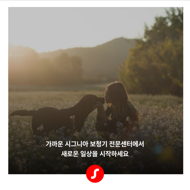 일광보청기 반려동물 청력 8.png